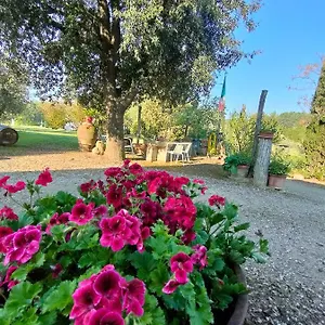 Azienda Agricola Polveraia , San Gimignano Italien